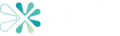 Asset 17