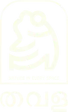 Asset 26