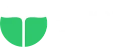 Asset 41